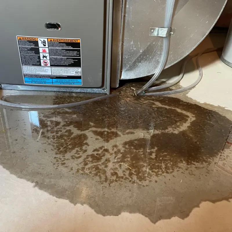 Appliance Leak Cleanup in Arnolds Park, IA