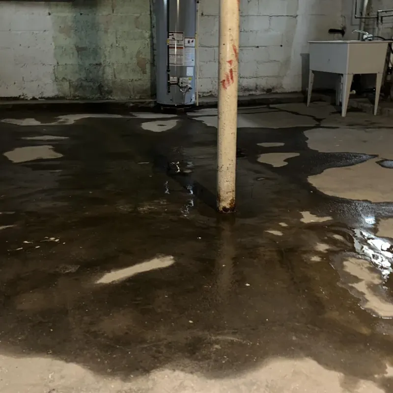 Emergency Water Extraction And Removal in Arnolds Park, IA